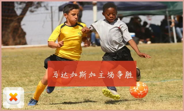 马达加斯加主场争胜
