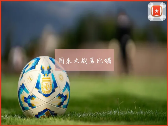 国米大战莱比锡