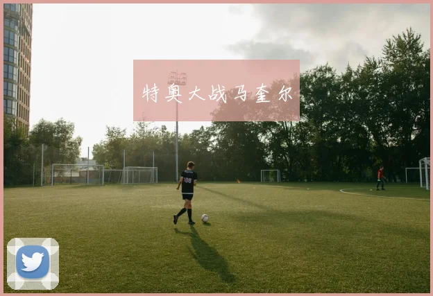 特奥大战马奎尔