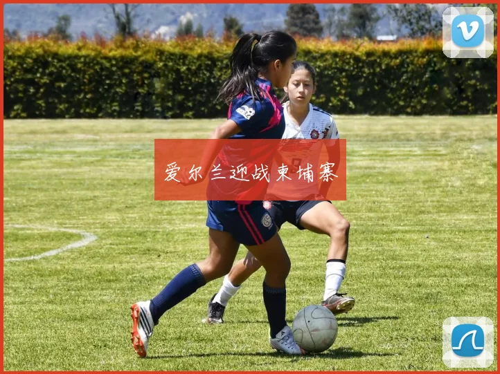 爱尔兰迎战柬埔寨