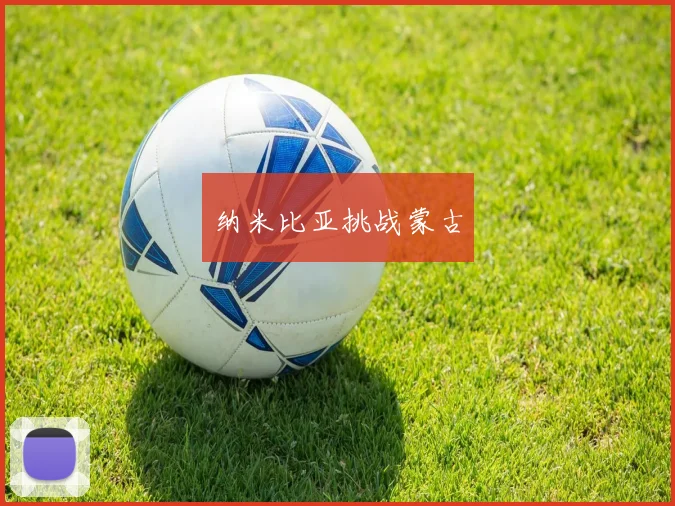 纳米比亚挑战蒙古