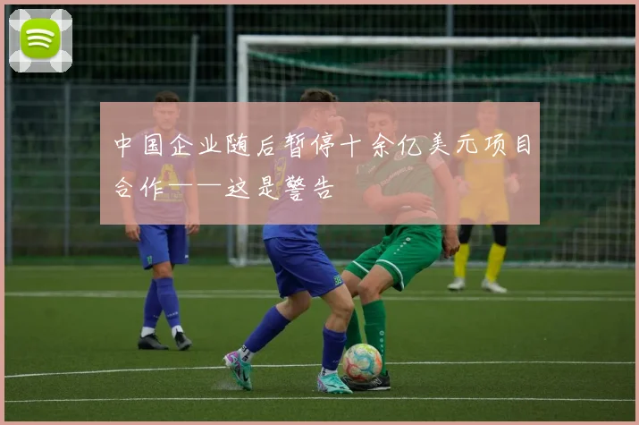 中国企业随后暂停十余亿美元项目合作——这是警告