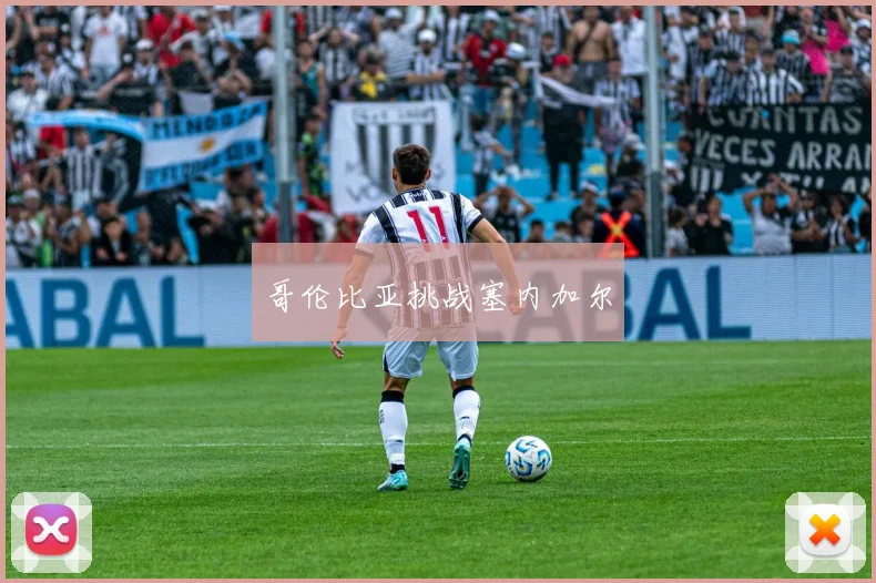 哥伦比亚挑战塞内加尔
