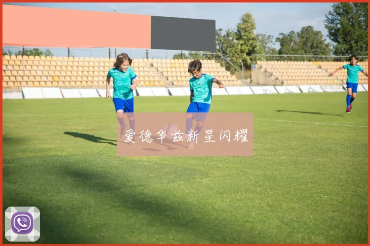 爱德华兹新星闪耀
