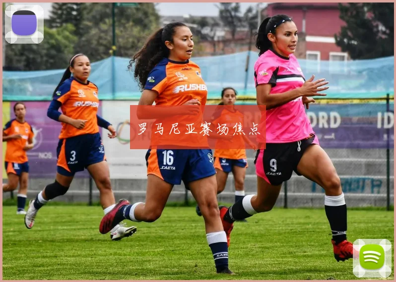 罗马尼亚赛场焦点