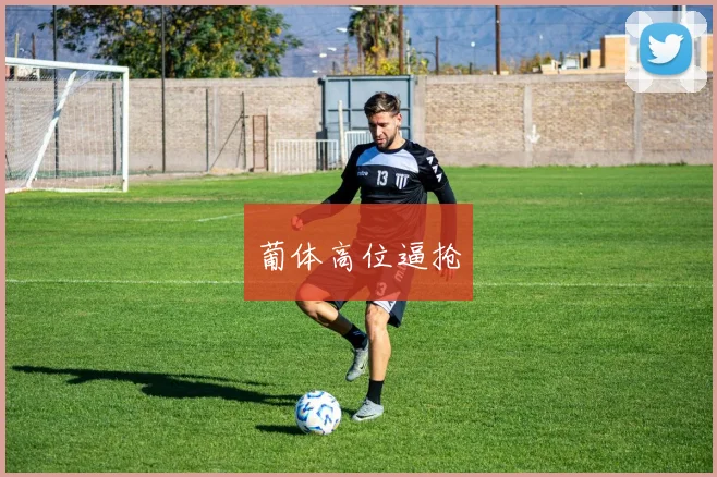葡体高位逼抢
