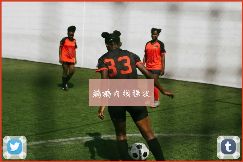 鹈鹕内线强攻