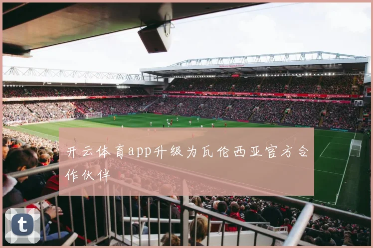 开云体育app升级为瓦伦西亚官方合作伙伴