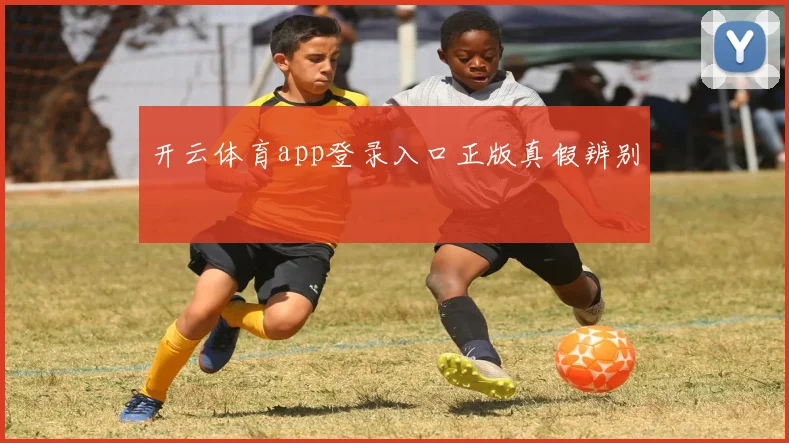 开云体育app登录入口正版真假辨别