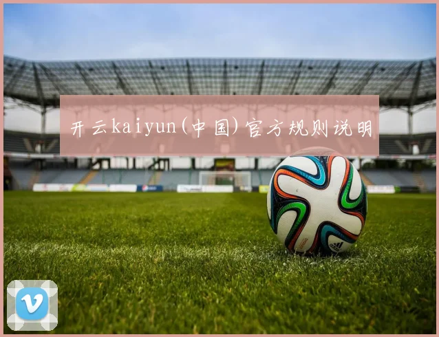 开云kaiyun(中国)官方规则说明