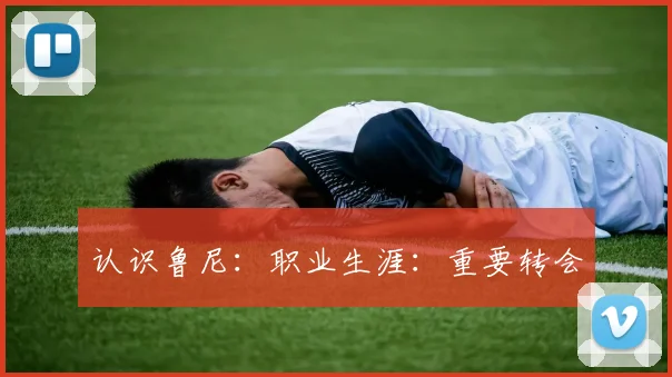 认识鲁尼：职业生涯：重要转会
