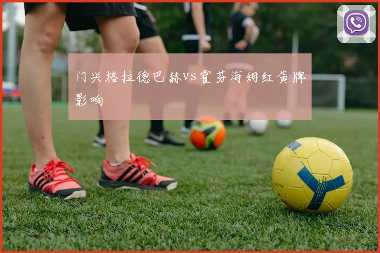 门兴格拉德巴赫vs霍芬海姆红黄牌影响